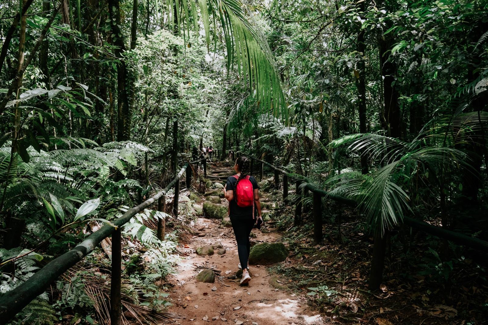 Passeios em Peruíbe 1